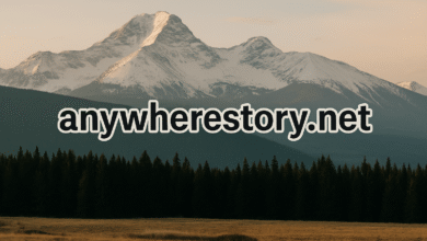 anywherestory .net