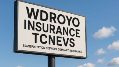 Wdroyo Insurance Tcnevs