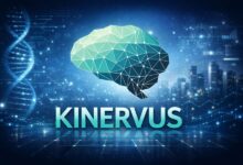 Kinervus
